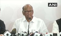 महाराष्ट्राला शिवसेना-राष्ट्रवादी काँग्रेस-काँग्रेस आघाडीचे स्थिर सरकार मिळेल; शरद पवार यांनी व्यक्त केला विश्वास
